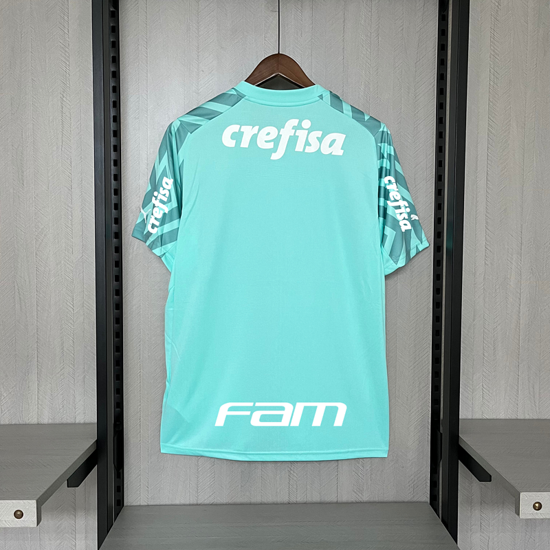 Palmeiras goleiro 24/25 + todos patrocinadores