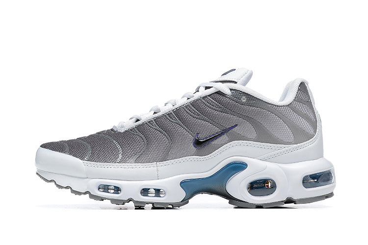 Nike air max plus TN gray blue