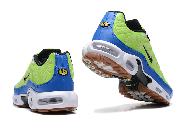 Nike air max plus TN “M. Frank Rudy”