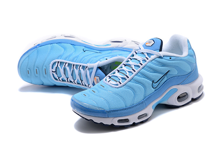 Nike Air Max Plus TN "Primo utilizzo 2"