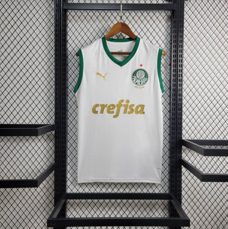 Regata palmeiras away 24/25