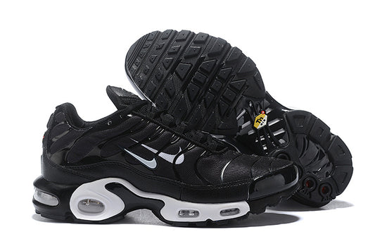 Nike air max plus TN double black