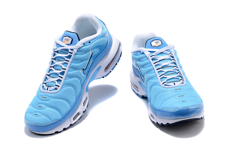 Nike Air Max Plus TN "Primo utilizzo 2"