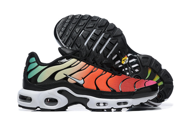 Nike air max plus TN “Rainbow 2”