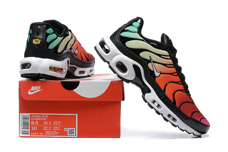 Nike air max plus TN “Rainbow 2”