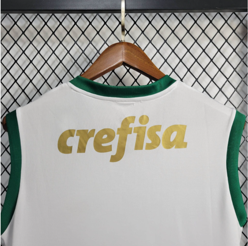 Regata palmeiras away 24/25