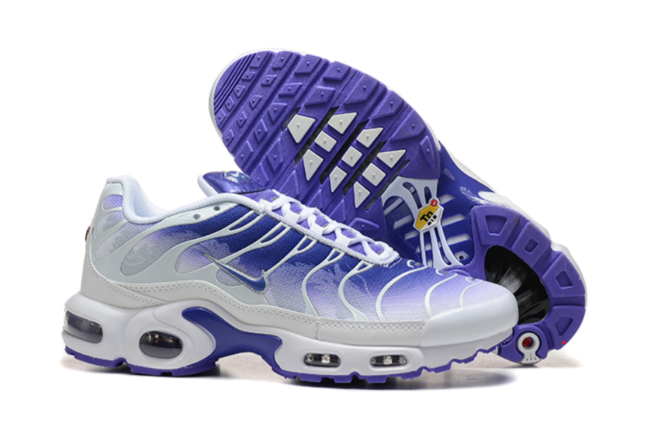 Nike air max plus TN “Purple Dragon”