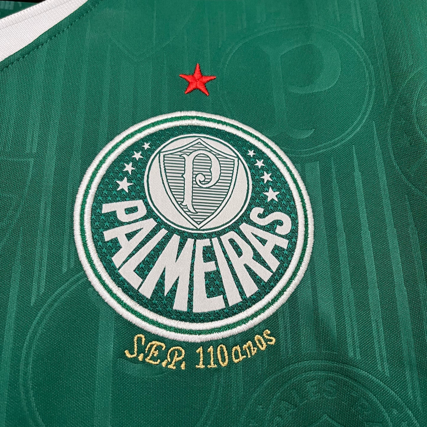 Palmeiras 24/25