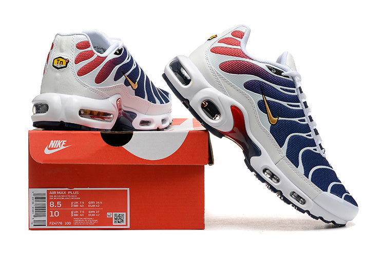 Nike air max plus TN “PSG”